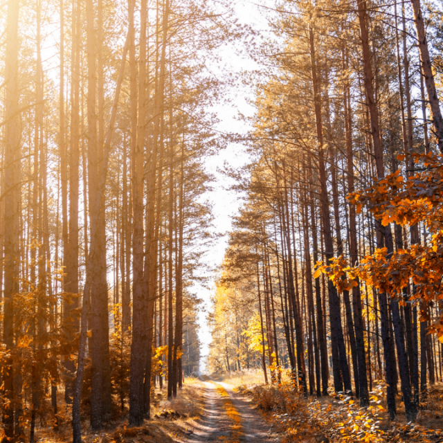 10 ways to feel more grounded in life